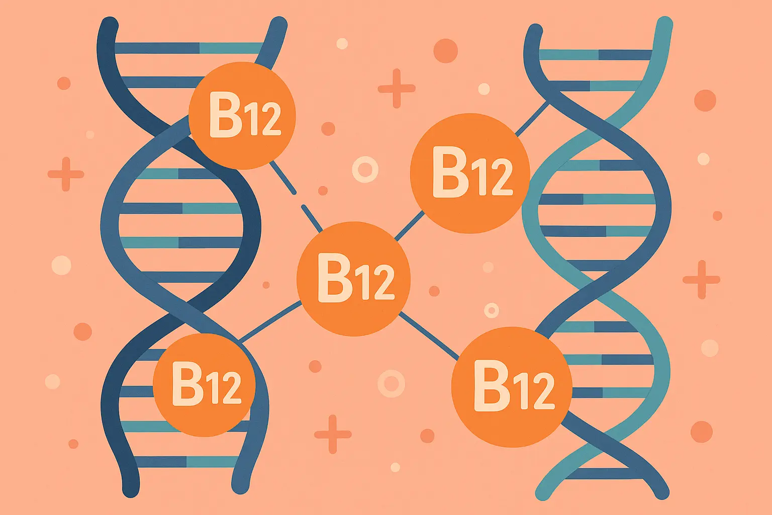 Genetic variations affecting B12 metabolism and dosing requirements