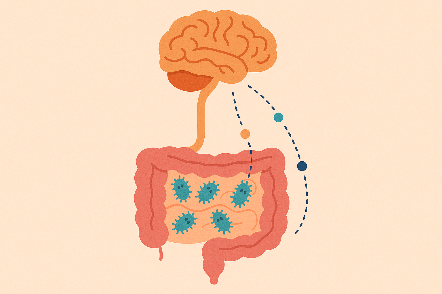 Gut bacteria emotional connection