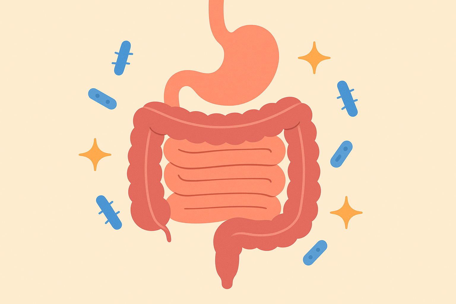 Digestive health improvement on carnivore diet
