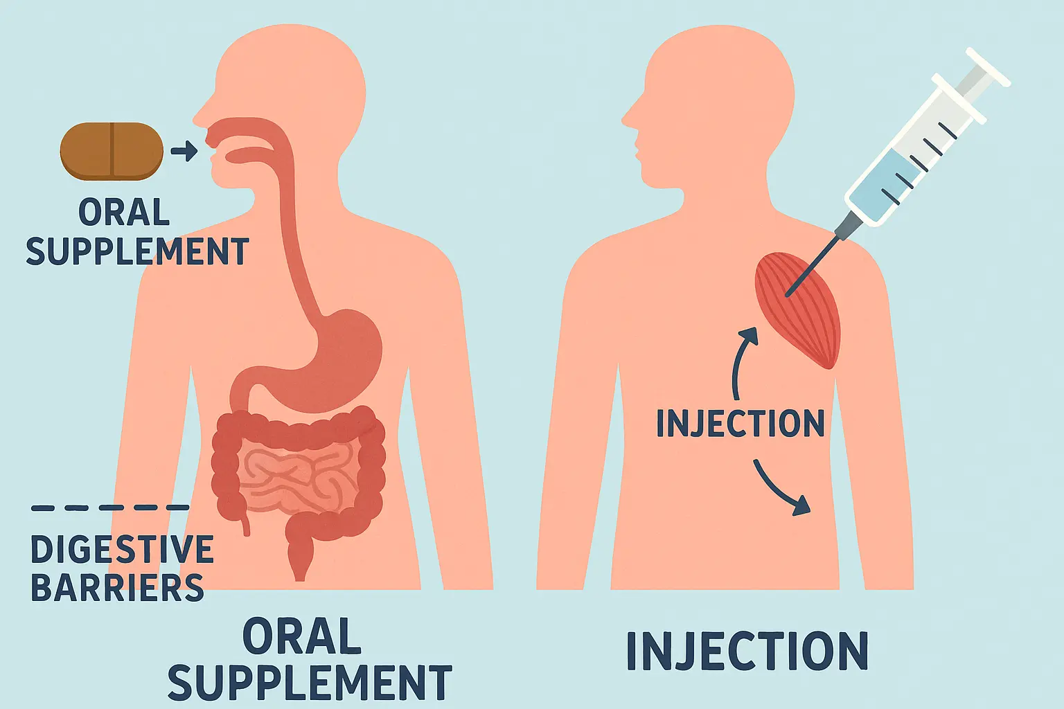 B12 injection vs oral absorption comparison