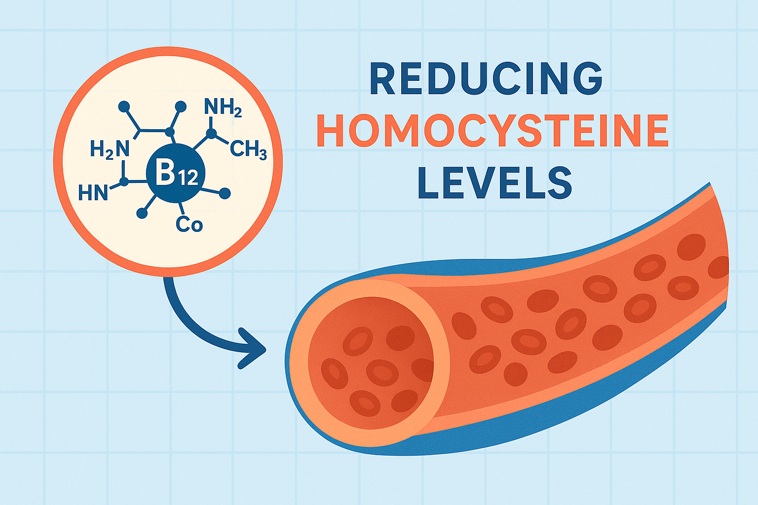 B12 and vein health connection