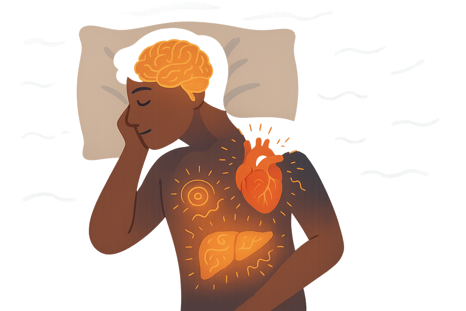 Sleep stages metabolic activity chart