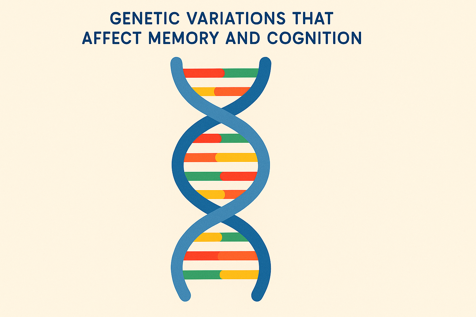 Genetic variations affecting memory strategies