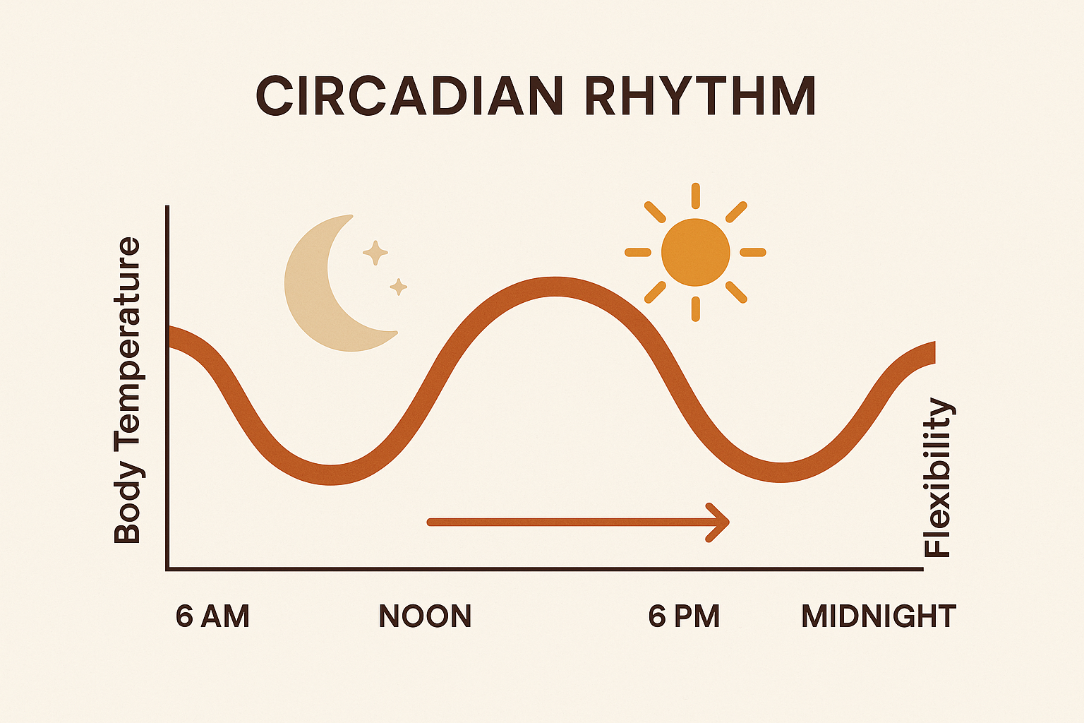 Circadian rhythm chart showing optimal flexibility training times