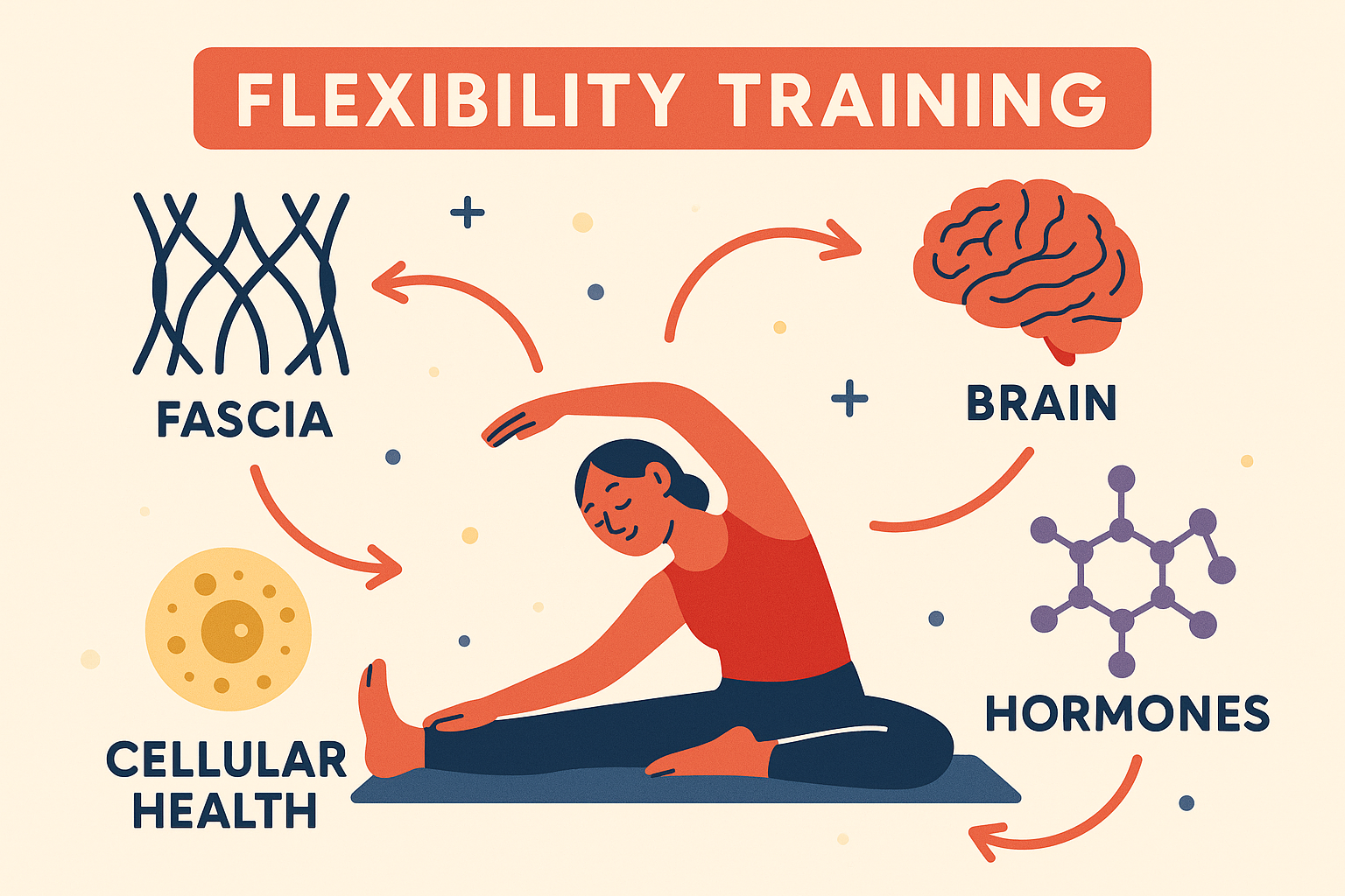 Comprehensive flexibility and mobility training approach