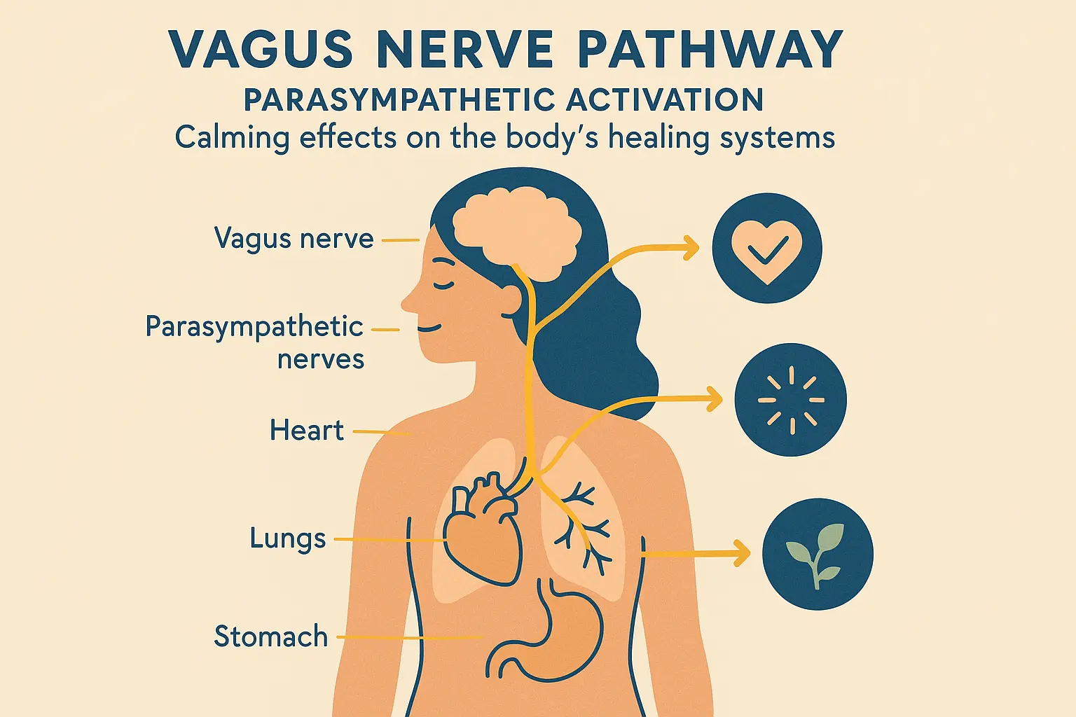 Vagal tone enhancement techniques for optimizing healing mode during recovery