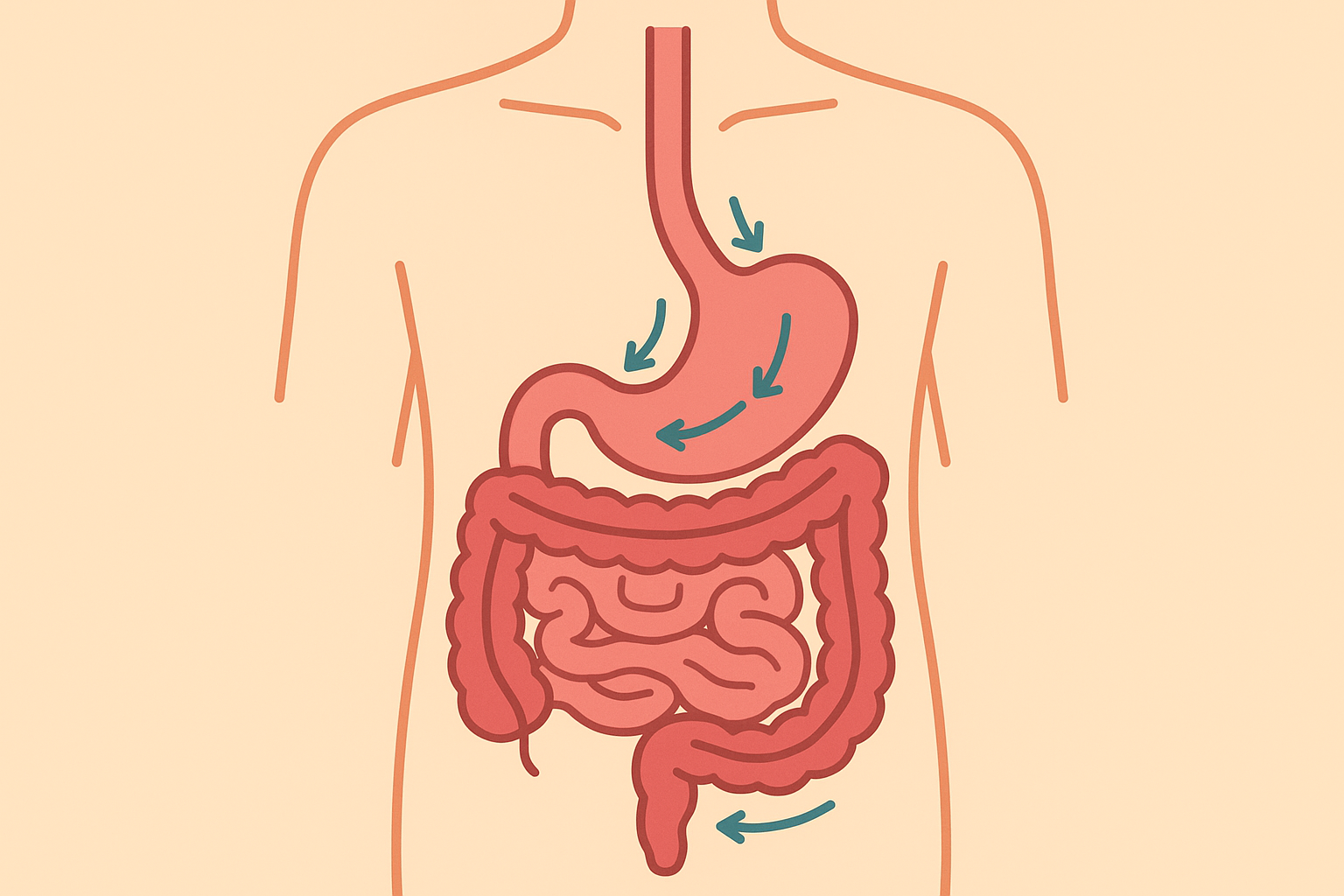 Semaglutide meal timing and digestion changes