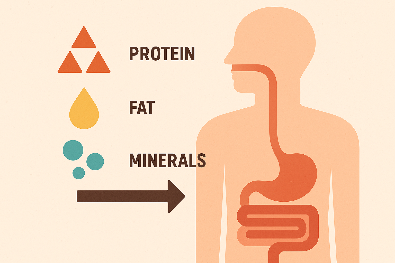 Nutrient timing for intermittent fasting