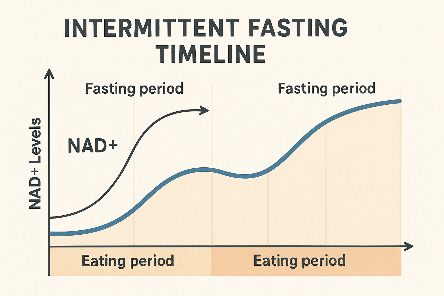 NAD fasting synergy optimization