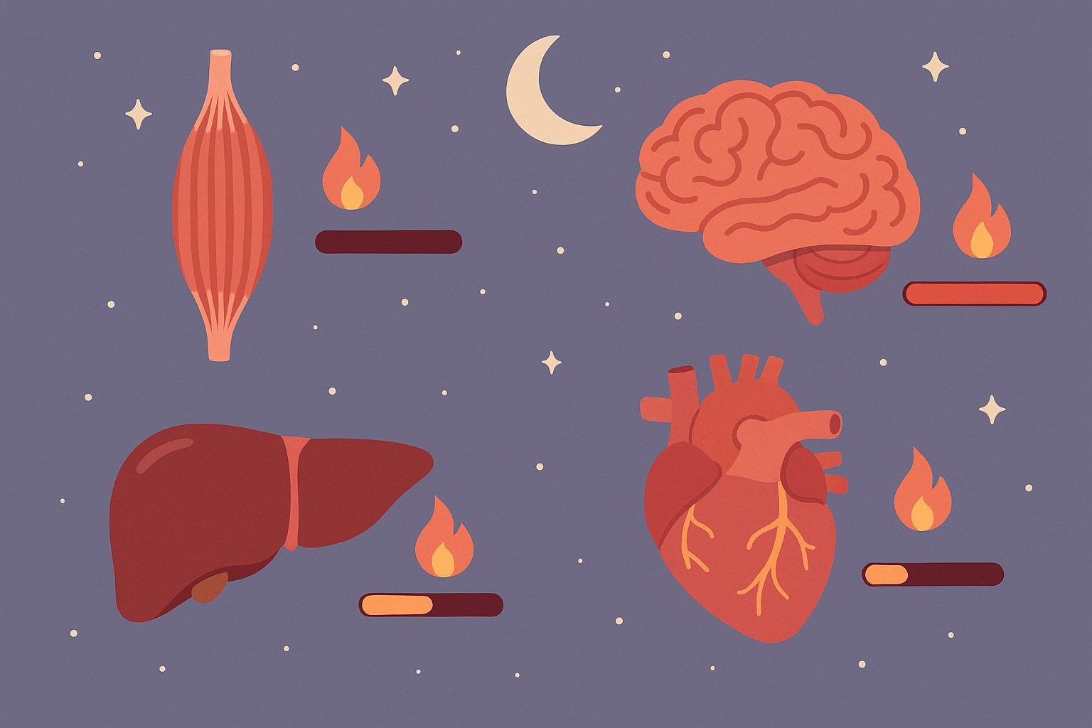 Body composition and metabolic rate visualization