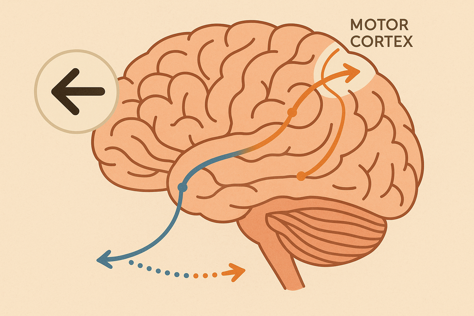 Mirror neuron activation arrow tattoos
