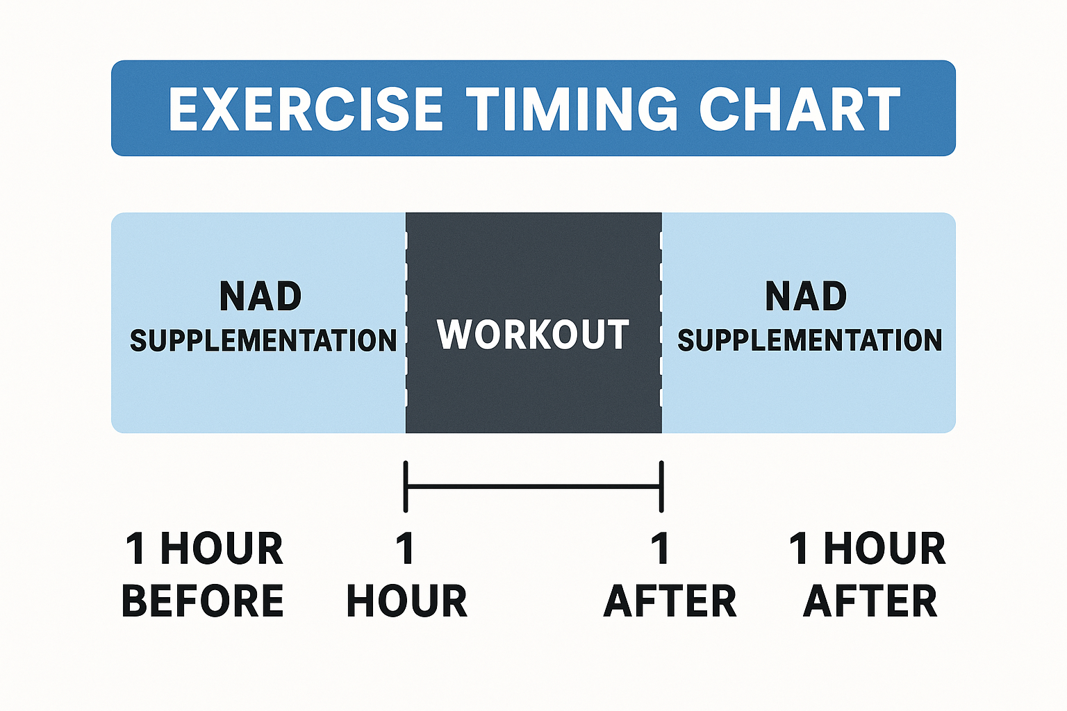 Exercise timing NAD optimization