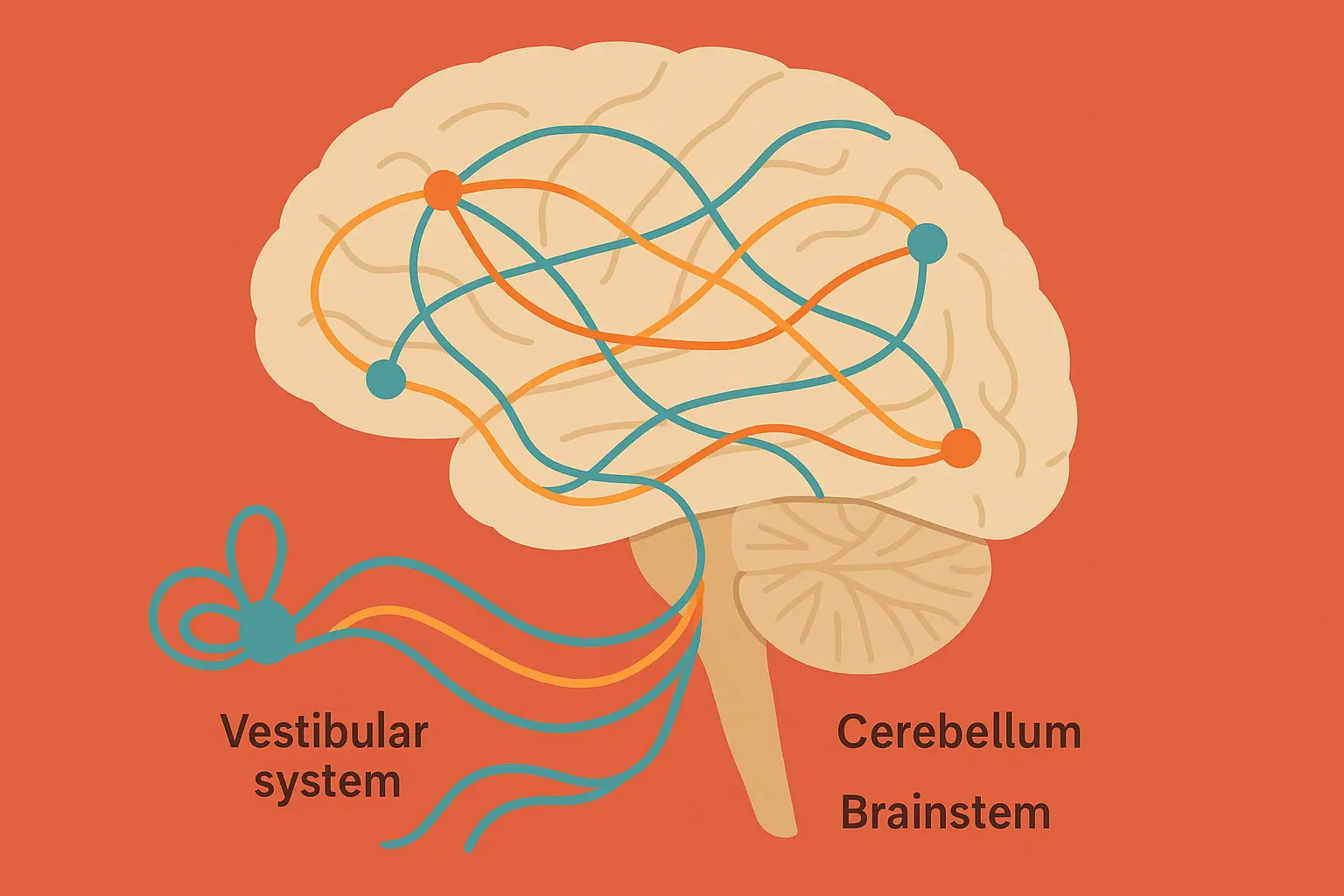 Complex brain balance network illustration