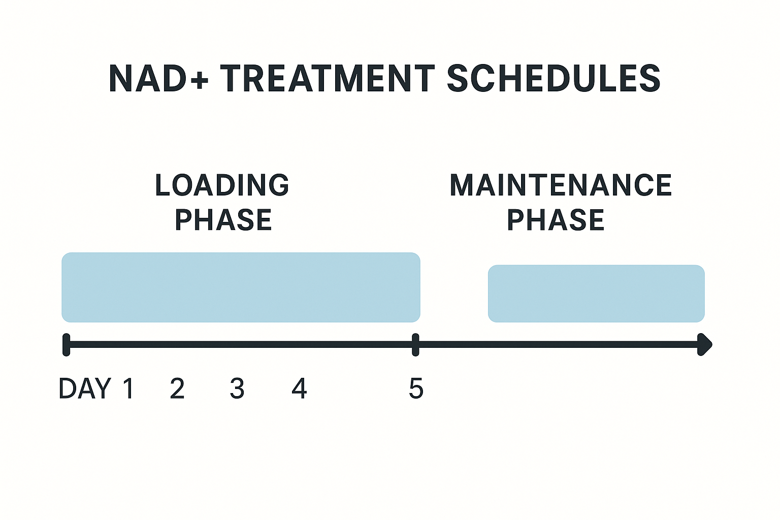 NAD loading phase protocol timeline