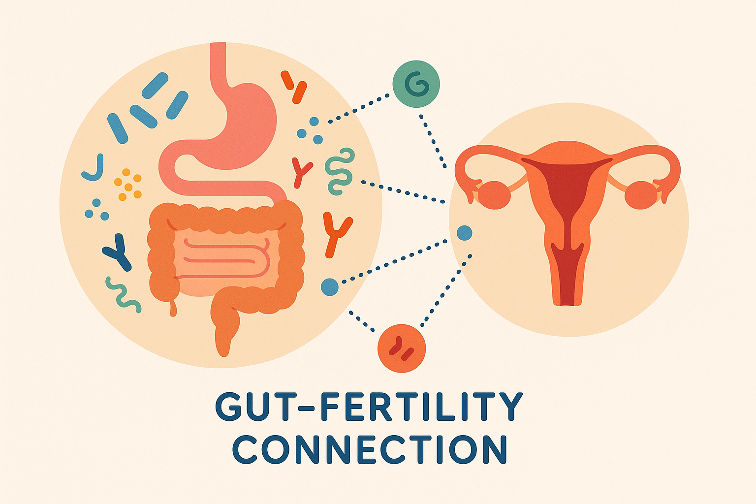 Gut microbiome fertility optimization