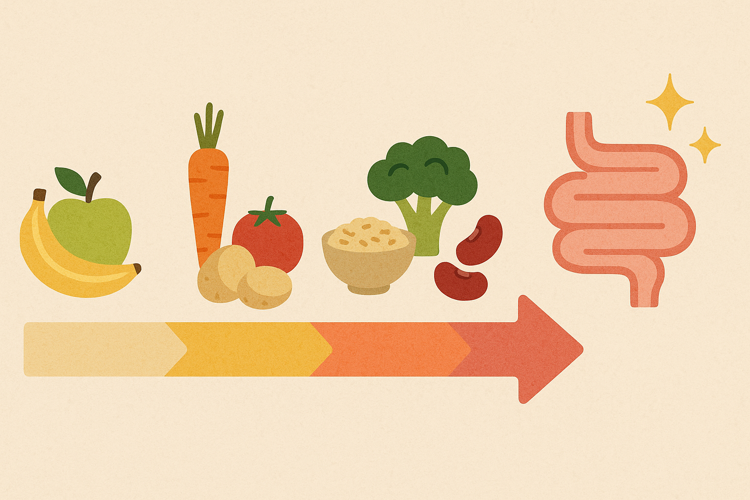 Microbiome recovery protocol timeline