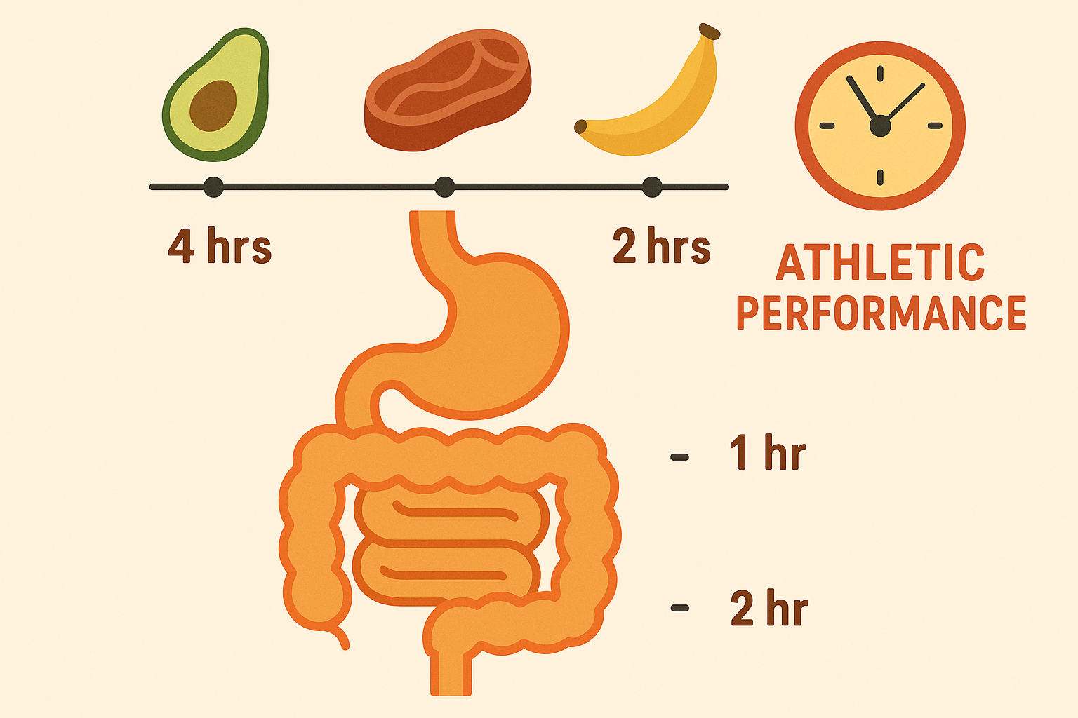 Digestive health optimization for teenage athletes