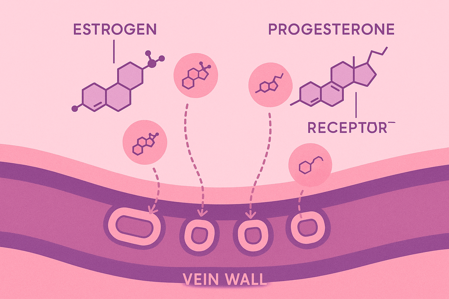 Hormonal optimization for vascular health
