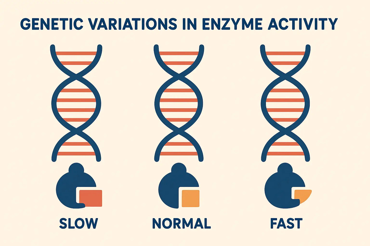 NAMPT enzyme genetic variations chart