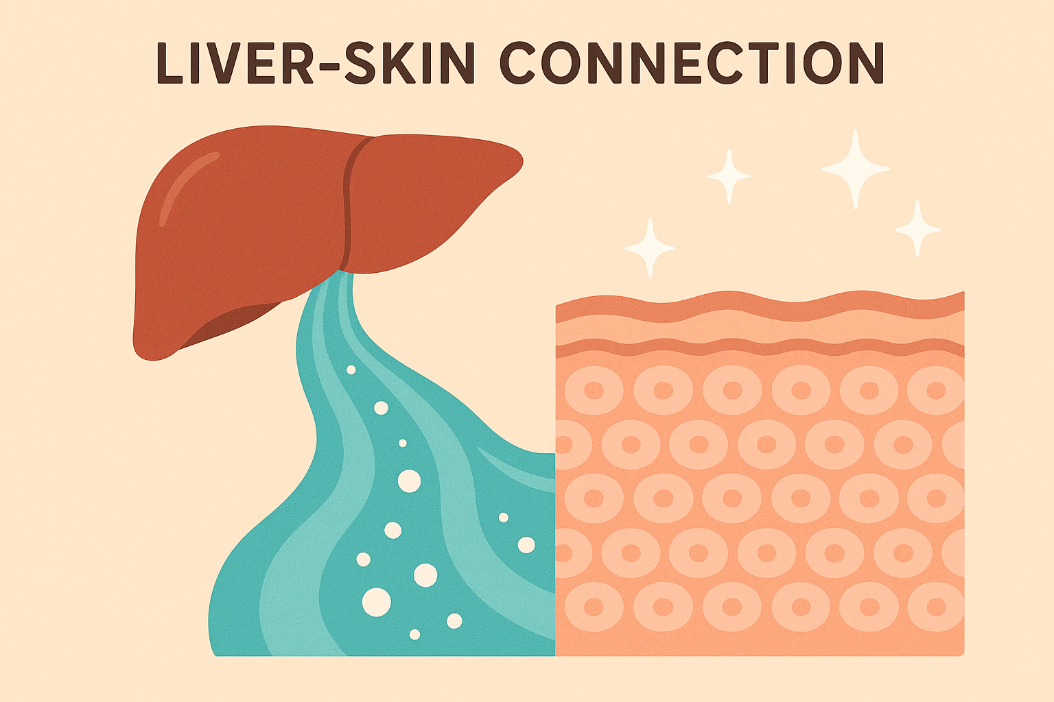Glutathione and liver detoxification pathways