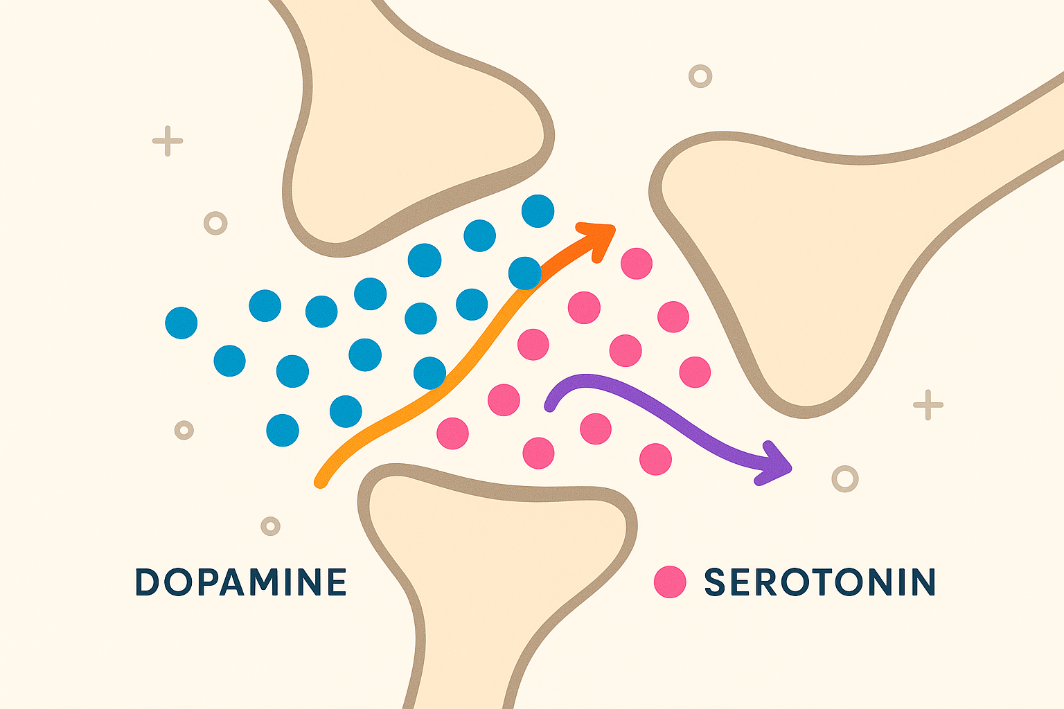Neurotransmitter pathways and self-discipline
