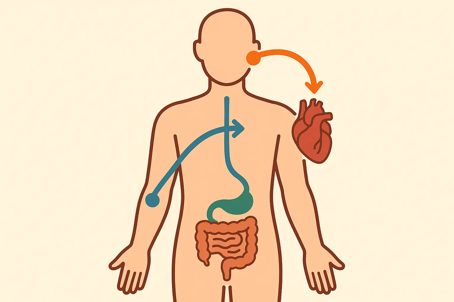 Alternative progesterone delivery methods