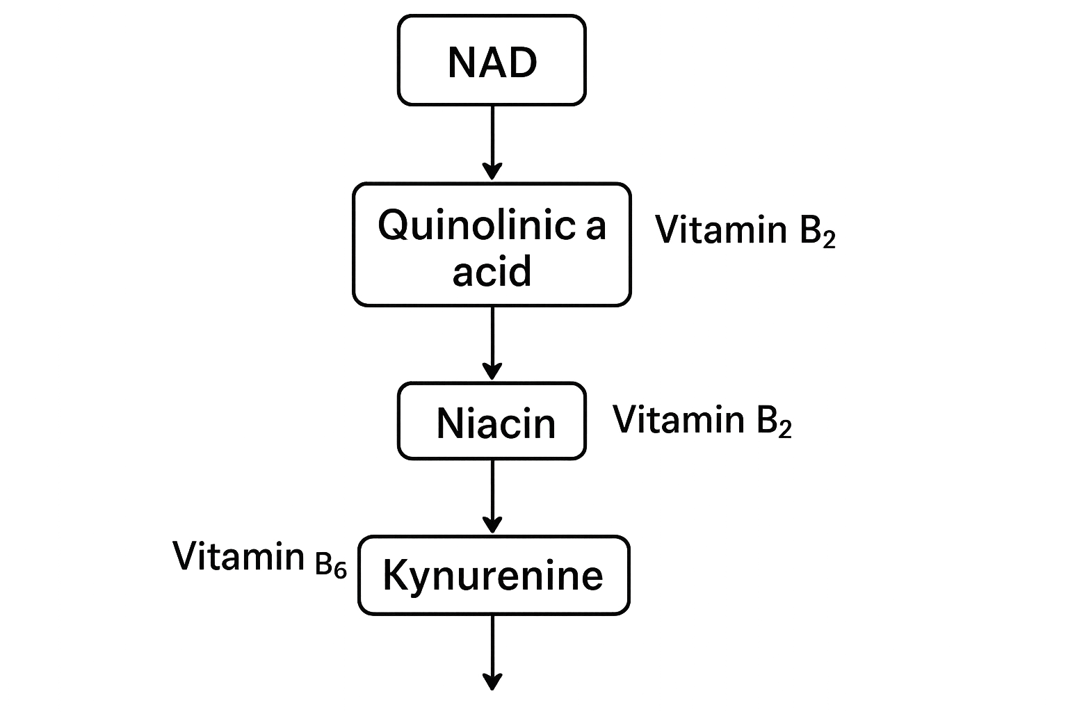 B-vitamin cofactor NAD optimization