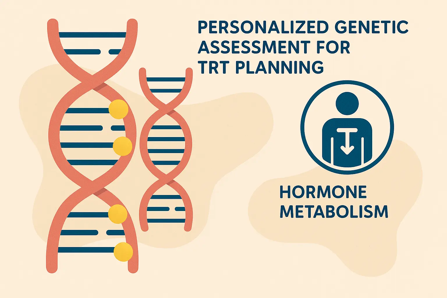 Genetic polymorphism testing for TRT fertility