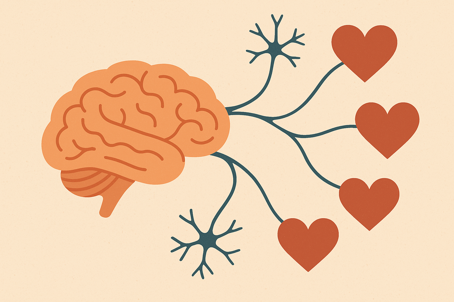 Brain chemistry and emotional connection