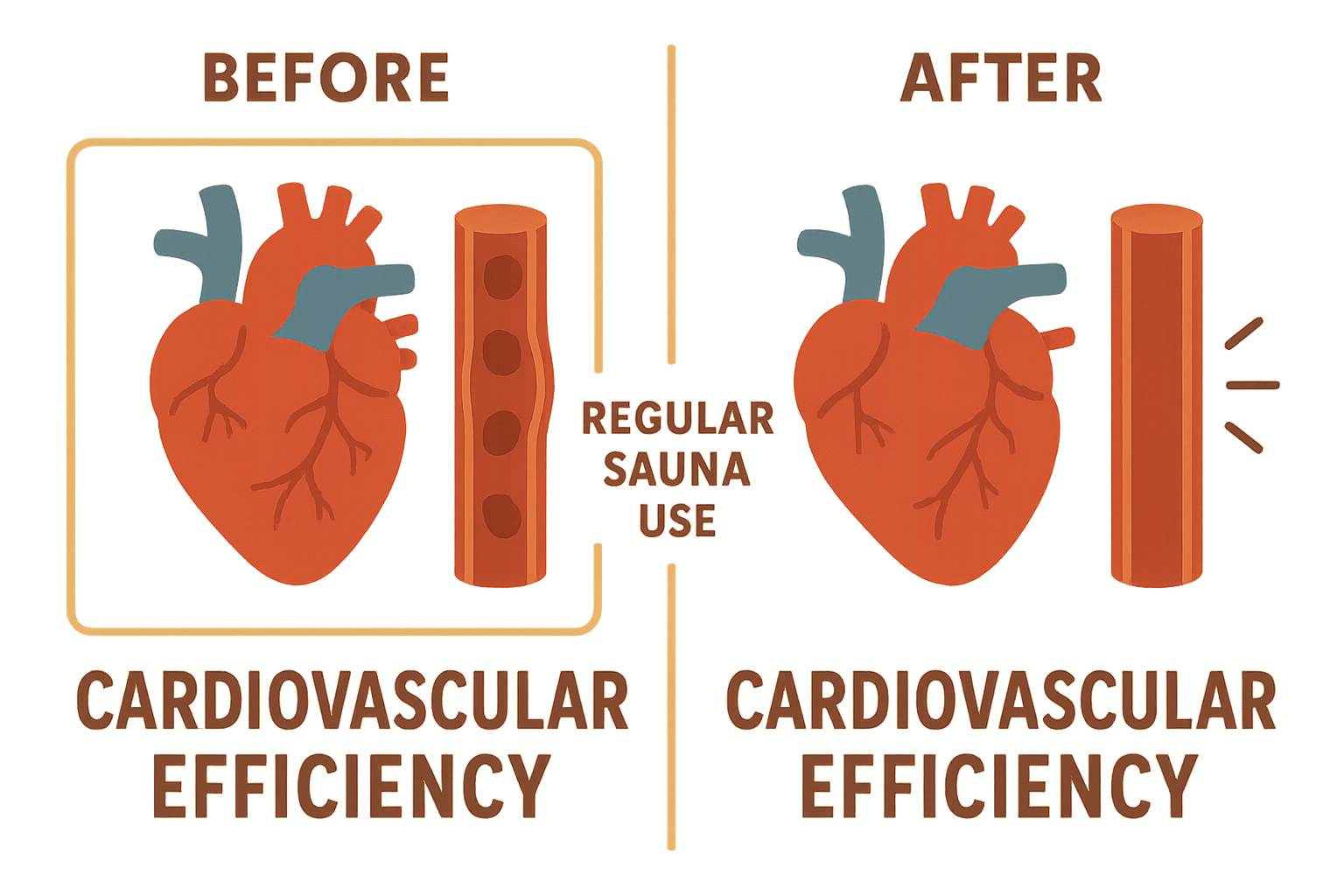 Cardiovascular adaptation from sauna use