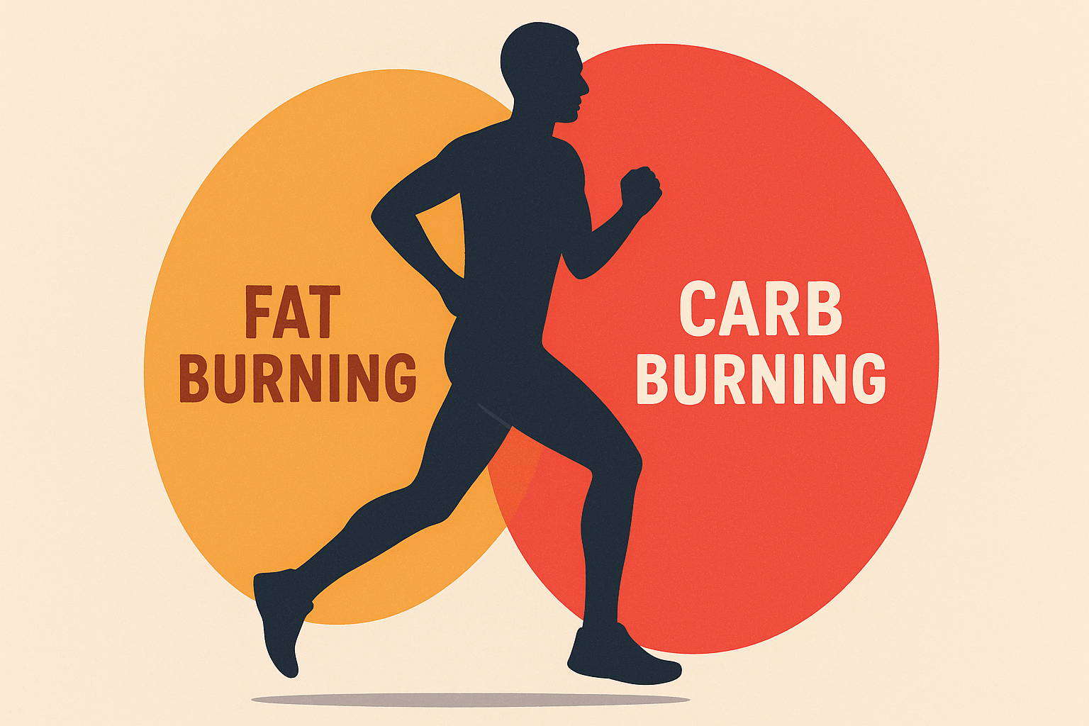 Fat-burning zone optimization for marathon runners