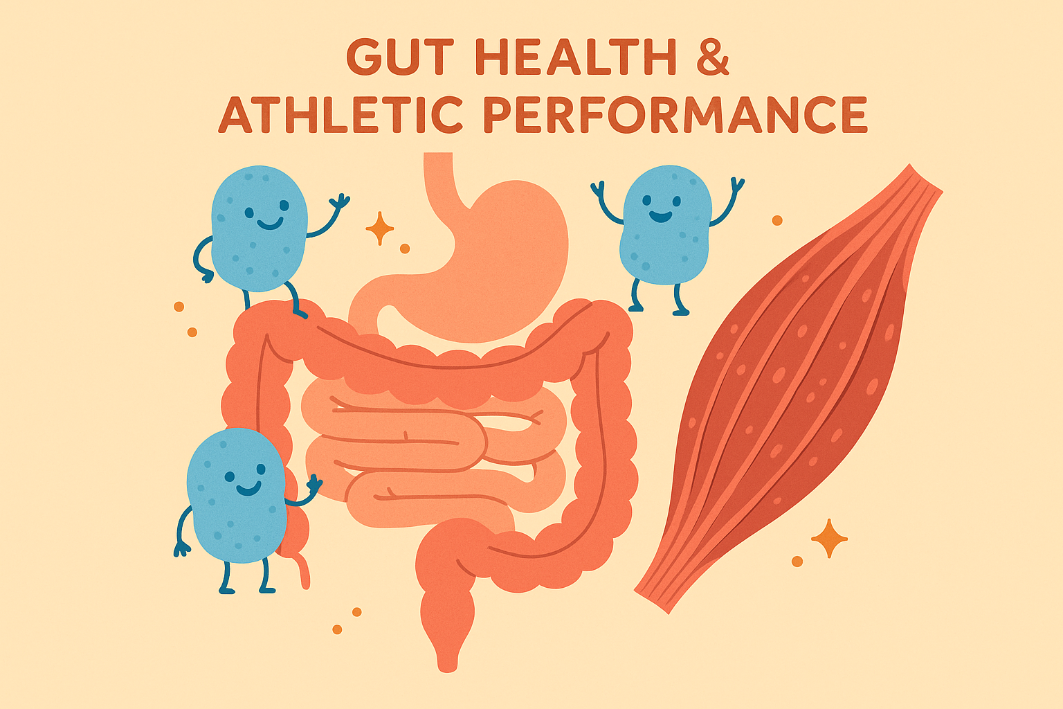 Gut bacteria and running performance connection