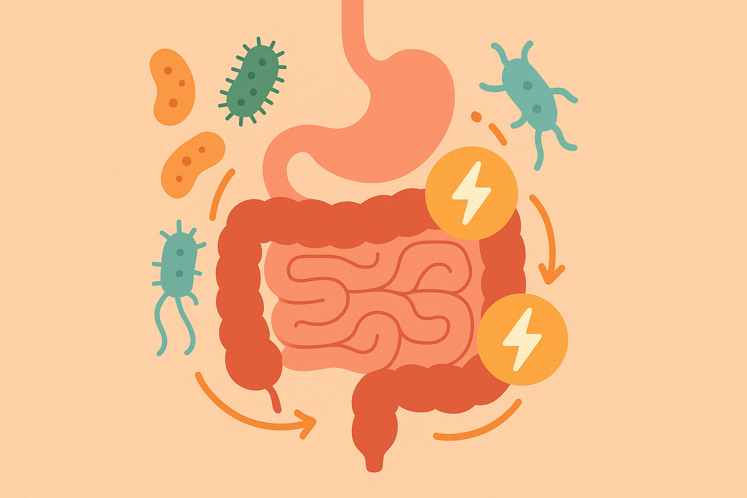 Gut bacteria and exercise metabolism visualization