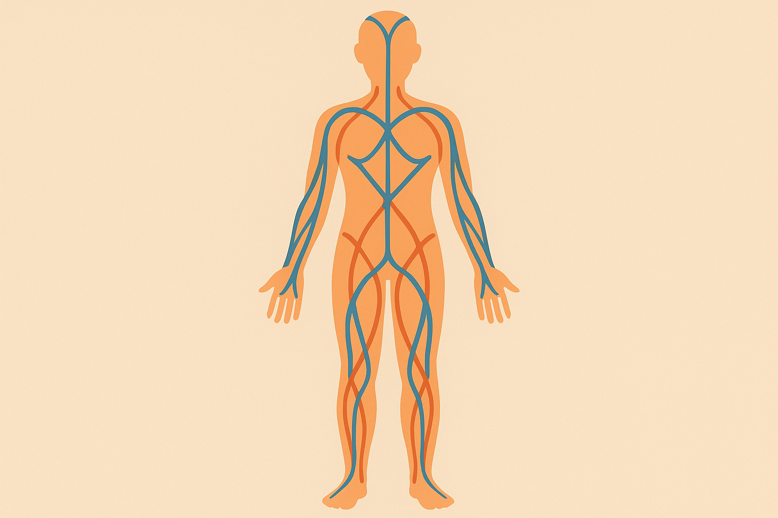 Fascial network tension pathways in sciatica