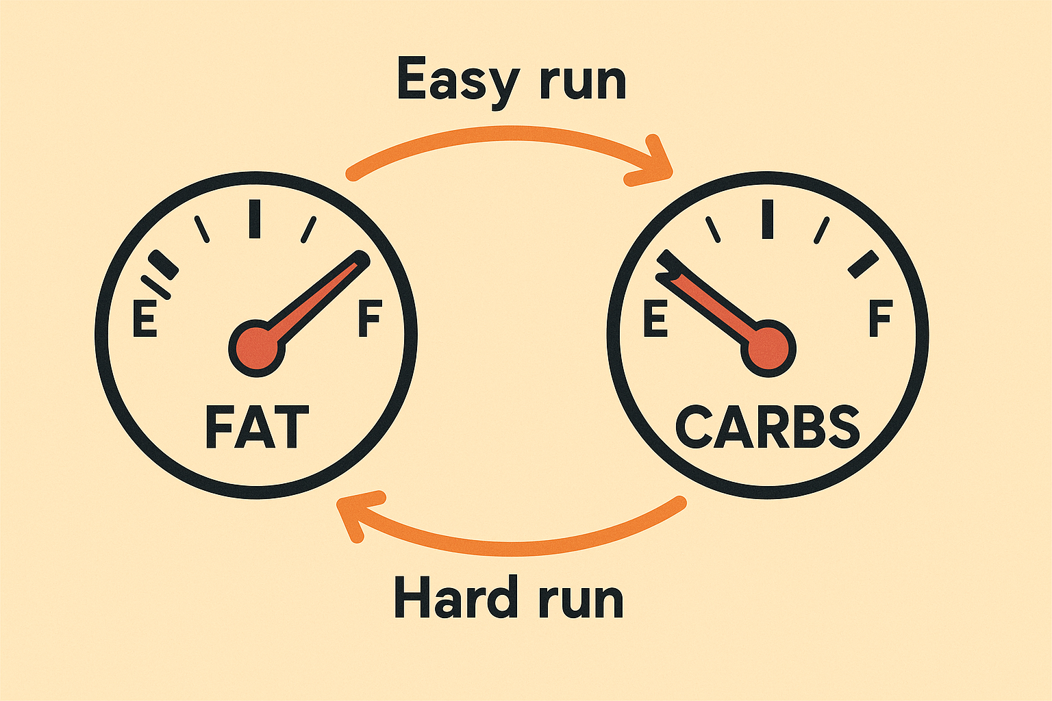 Metabolic flexibility training for runners