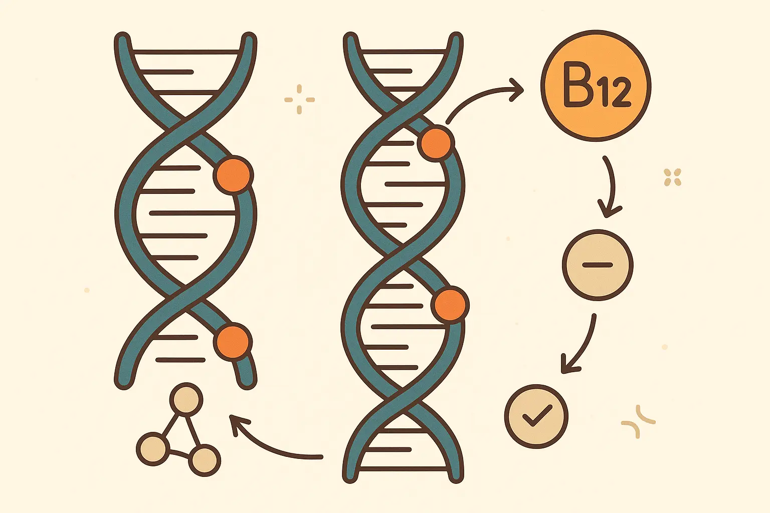 Genetic testing results showing MTHFR variants affecting B12 metabolism